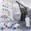 NASA Begins Final Assembly of Spacecraft Destined for Asteroid Psyche