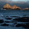 Disputable arrangement to airdrop poison onto the Farallon Islands to annihilate mice gets green light