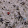 Microplastics in our air ‘twisting the globe’ in a pattern of contamination, study finds